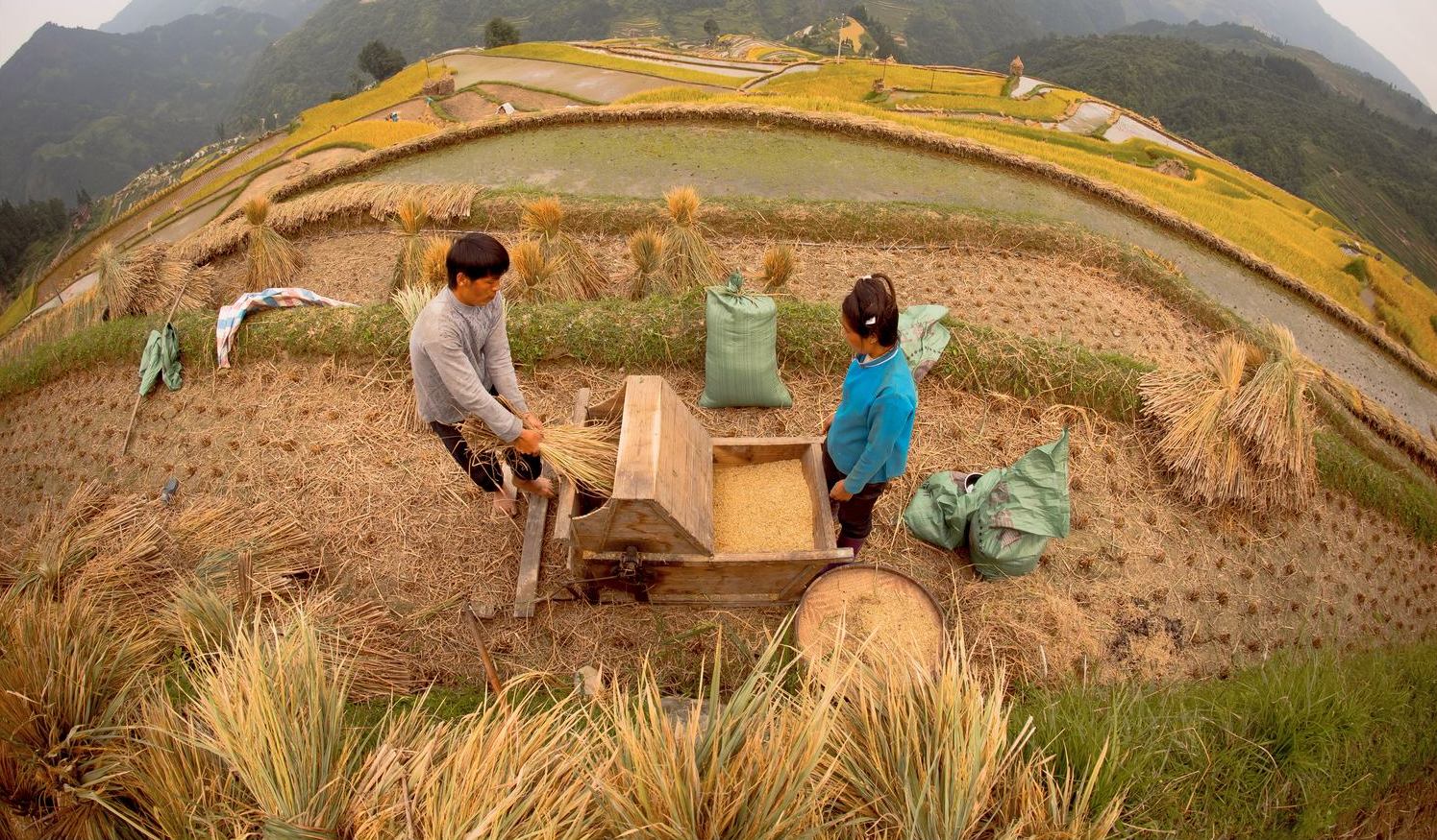 Congjiang Jiabang Terraced Fields